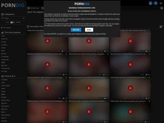 PornDig